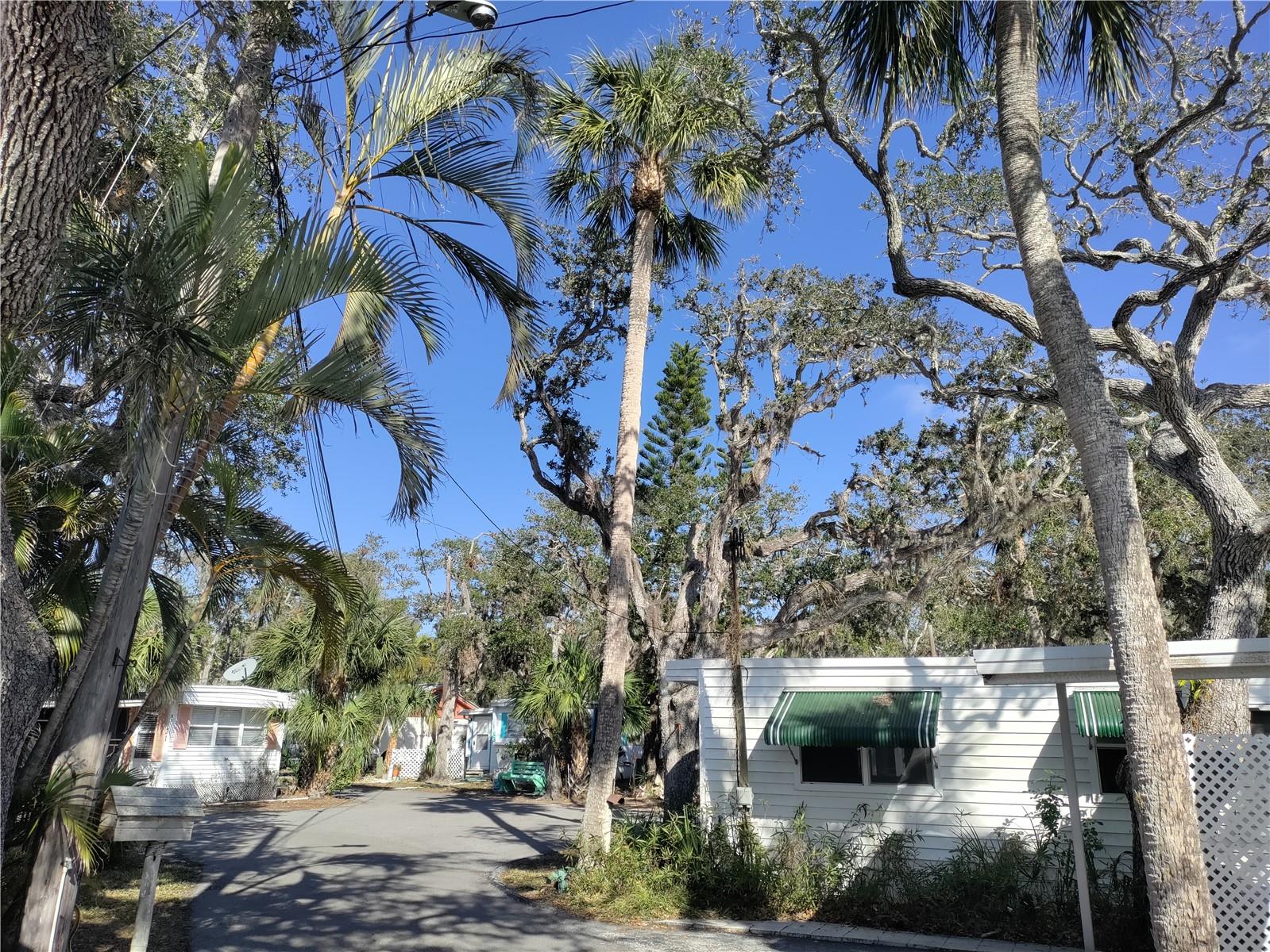 15010 113TH AVE #9, LARGO, FL, 33774