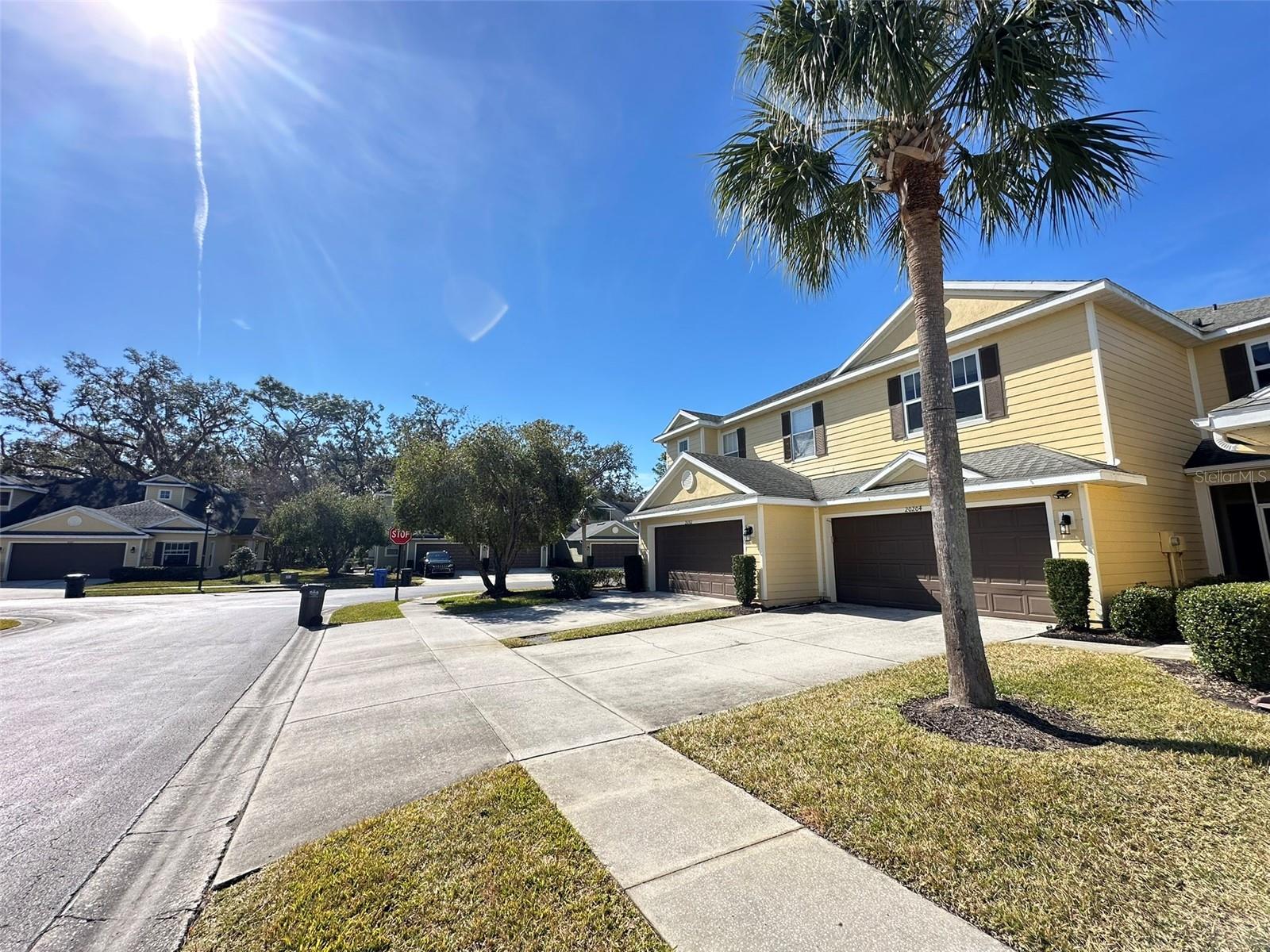 20204 WATER HICKORY PL, TAMPA, FL, 33647
