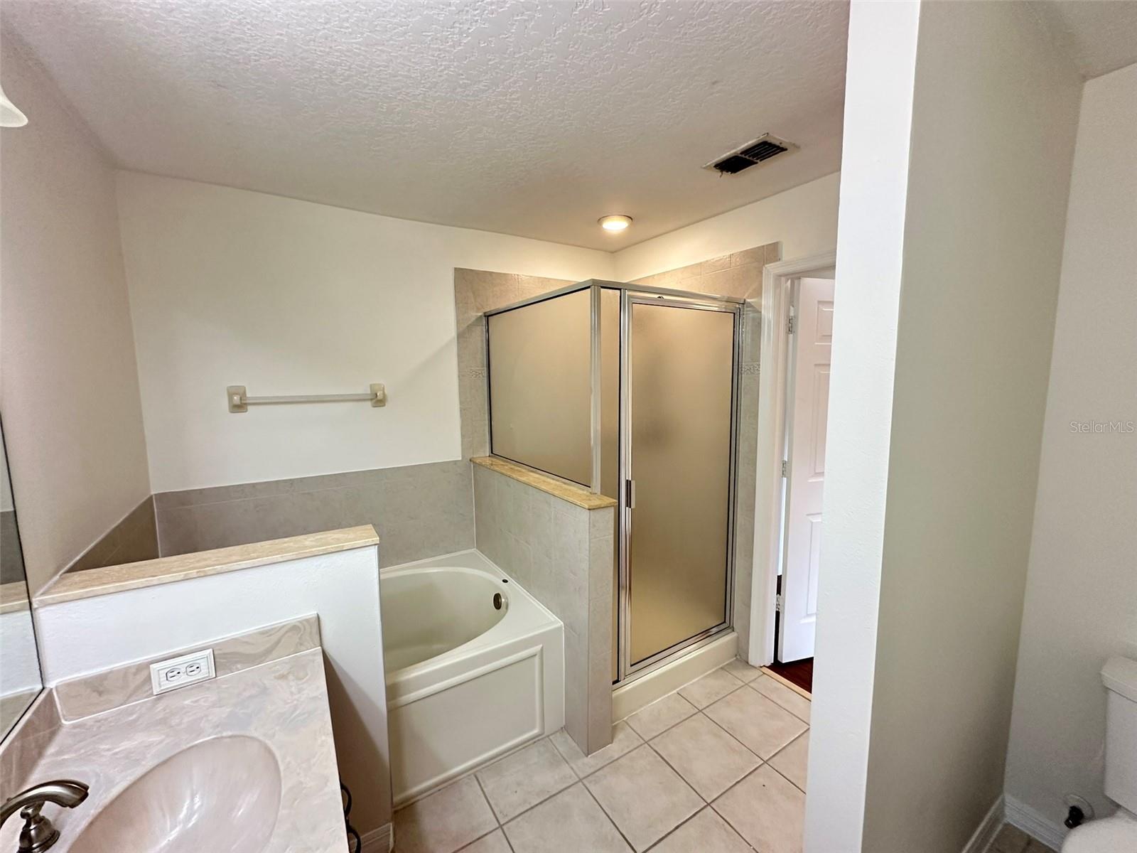 20204 WATER HICKORY PL, TAMPA, FL, 33647