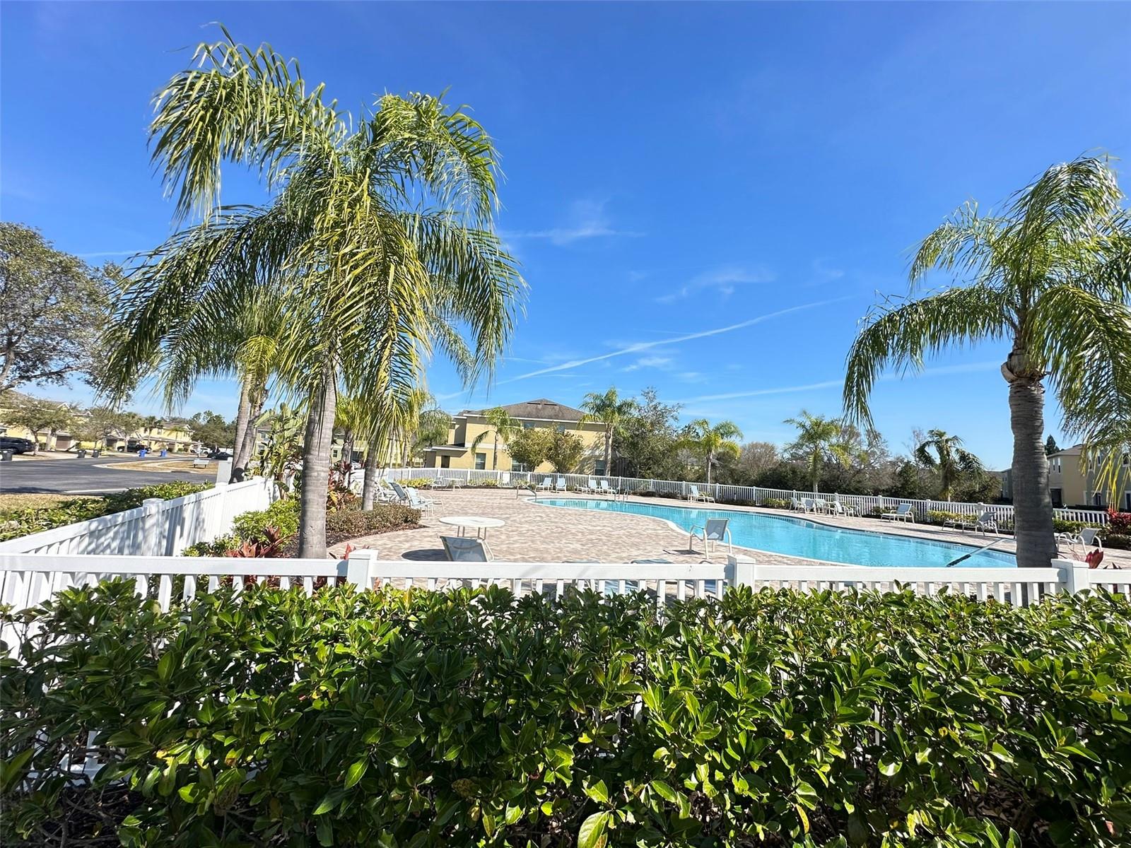 20204 WATER HICKORY PL, TAMPA, FL, 33647