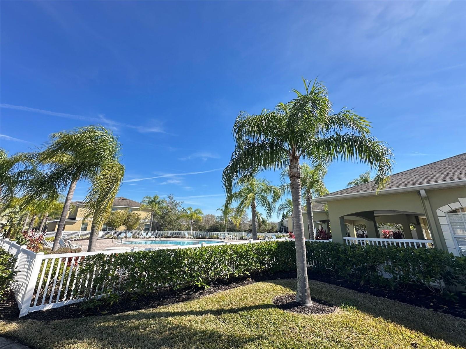 20204 WATER HICKORY PL, TAMPA, FL, 33647