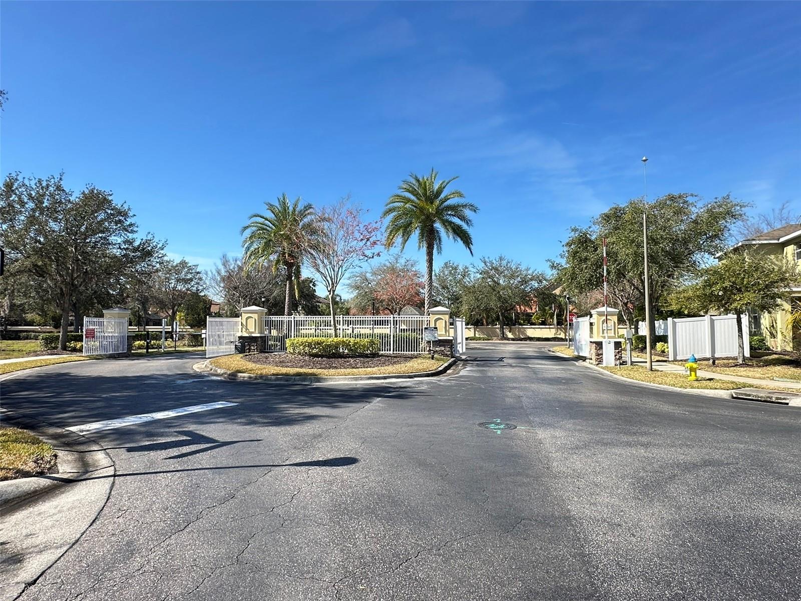 20204 WATER HICKORY PL, TAMPA, FL, 33647