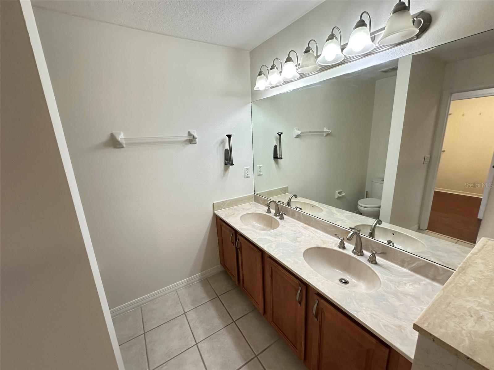 20204 WATER HICKORY PL, TAMPA, FL, 33647