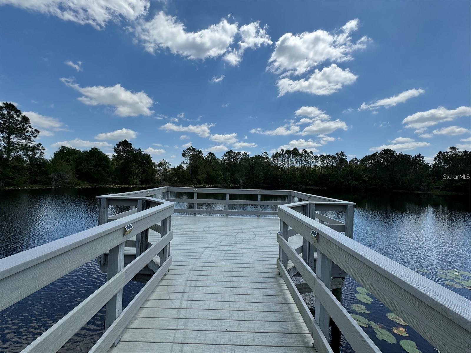 3011 MARBLE CREST DR, LAND O LAKES, FL, 34638