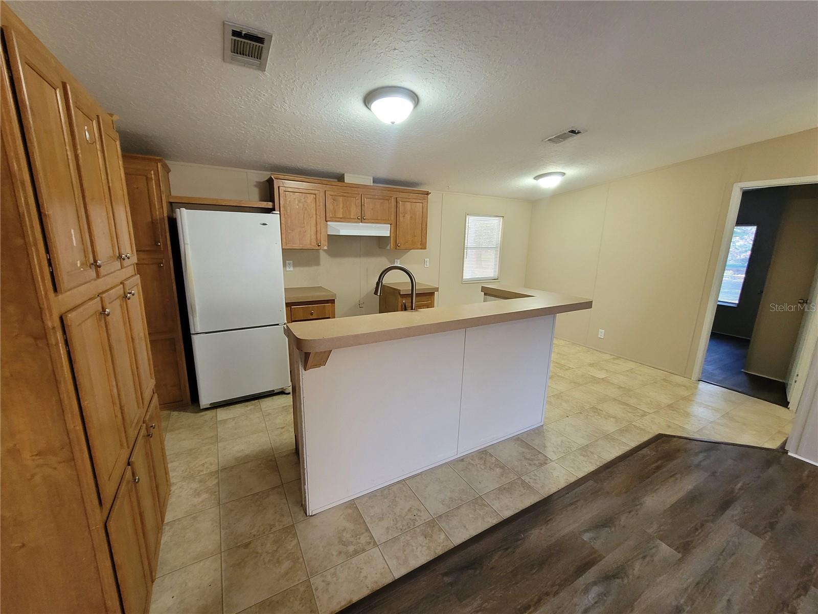 431 HAL COLDING RD, LITHIA, FL, 33547