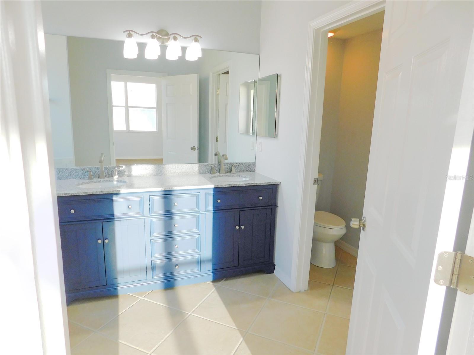 11016 HOLLY CONE DR, RIVERVIEW, FL, 33569