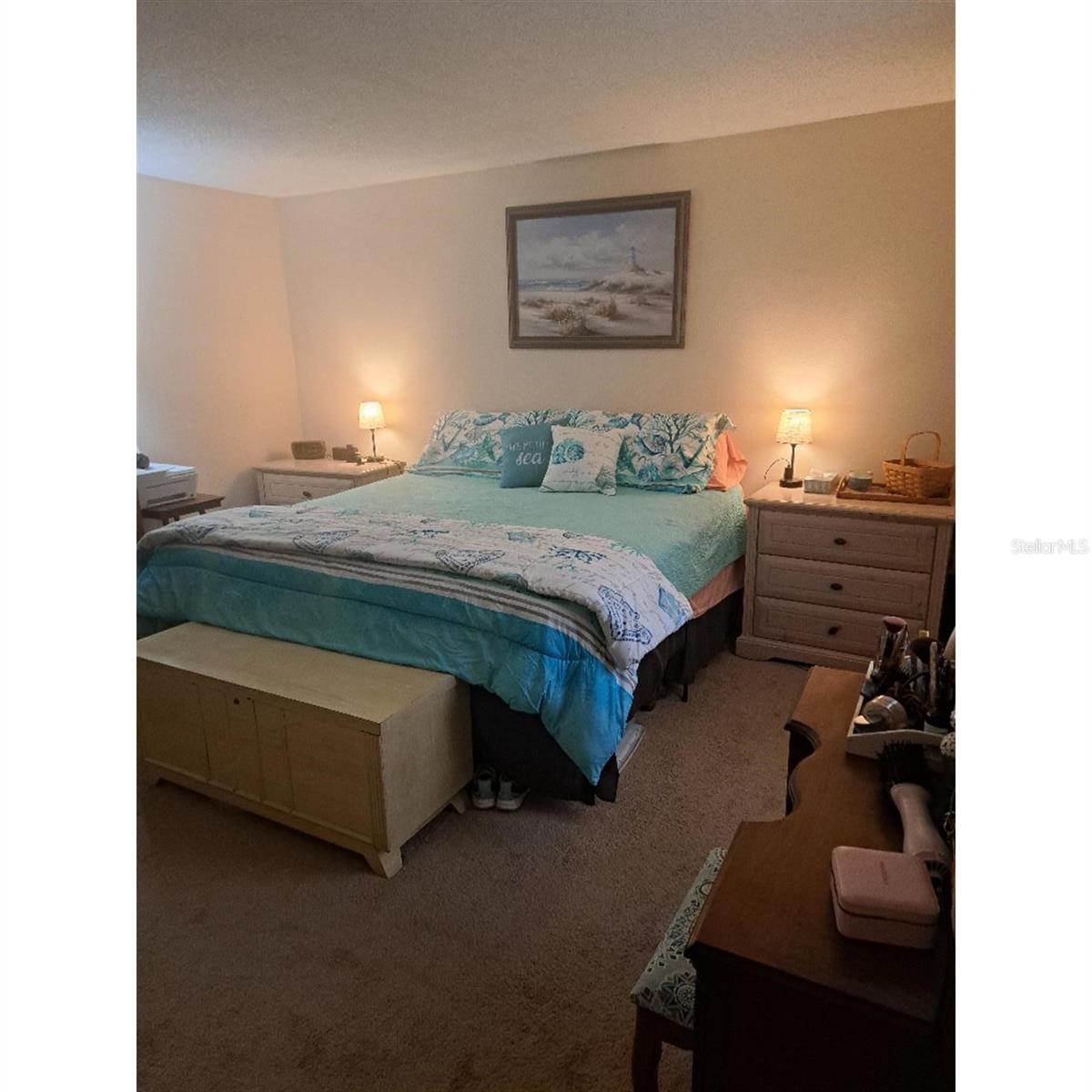 11301 HUGGINS ST, LEESBURG, FL, 34788