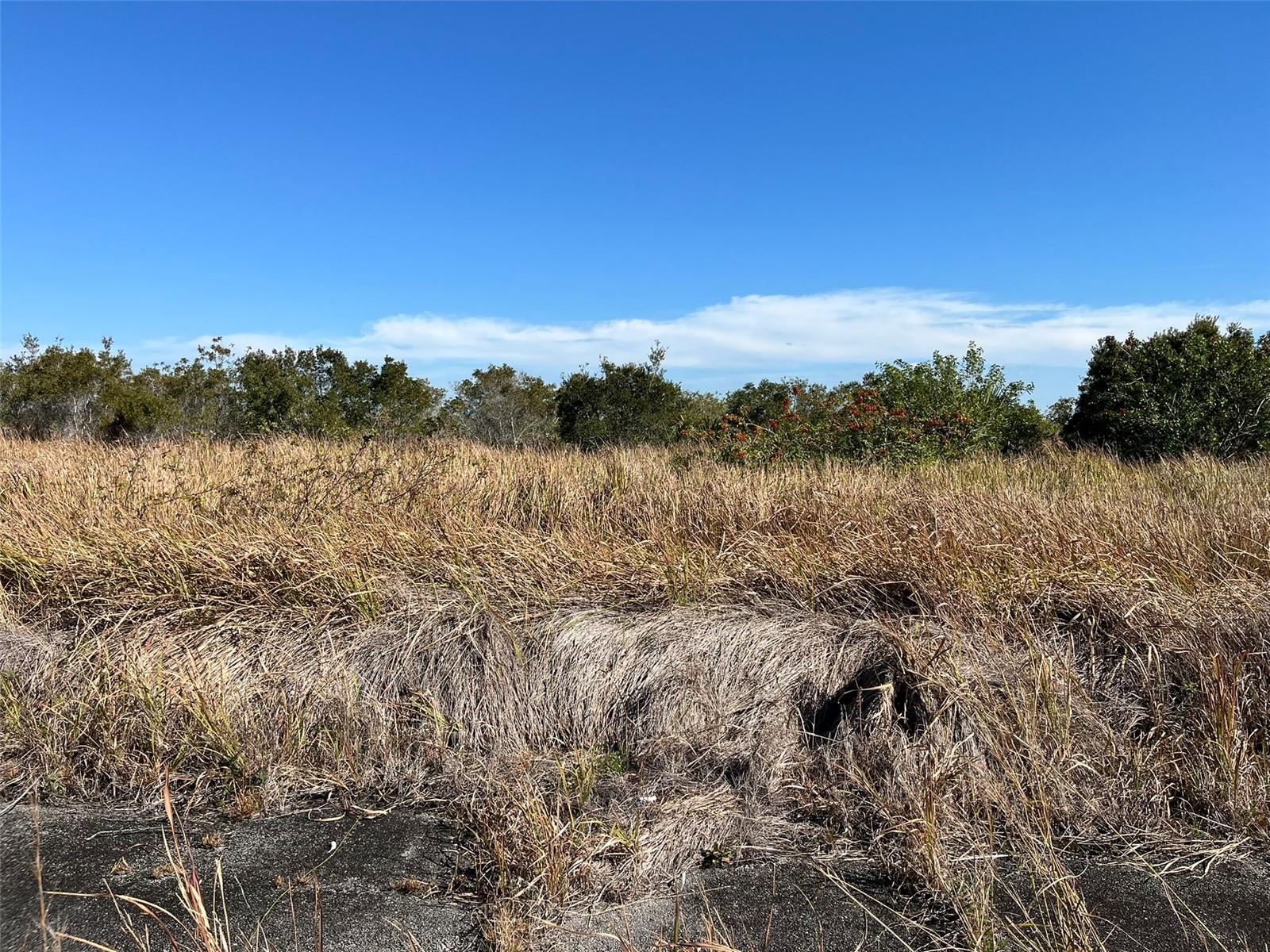 2725 WIDMER AVE SW, PALM BAY, FL, 32908