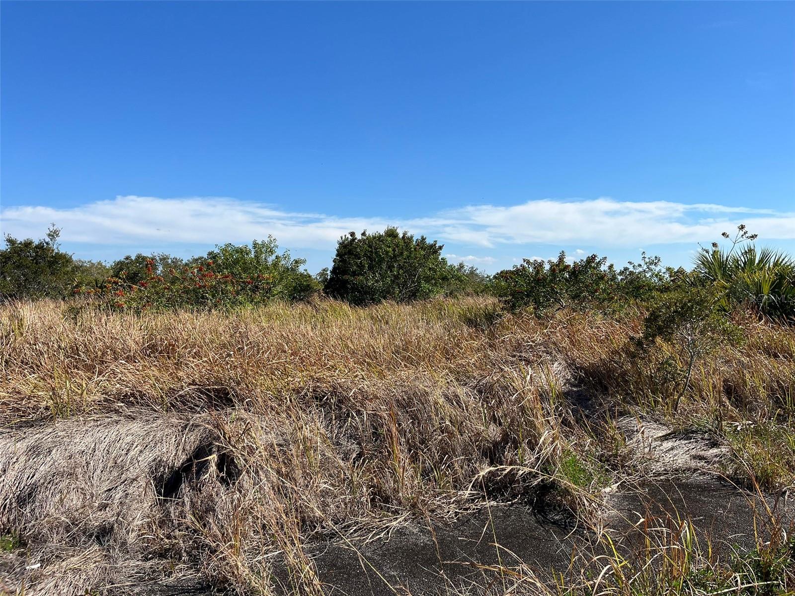 2725 WIDMER AVE SW, PALM BAY, FL, 32908
