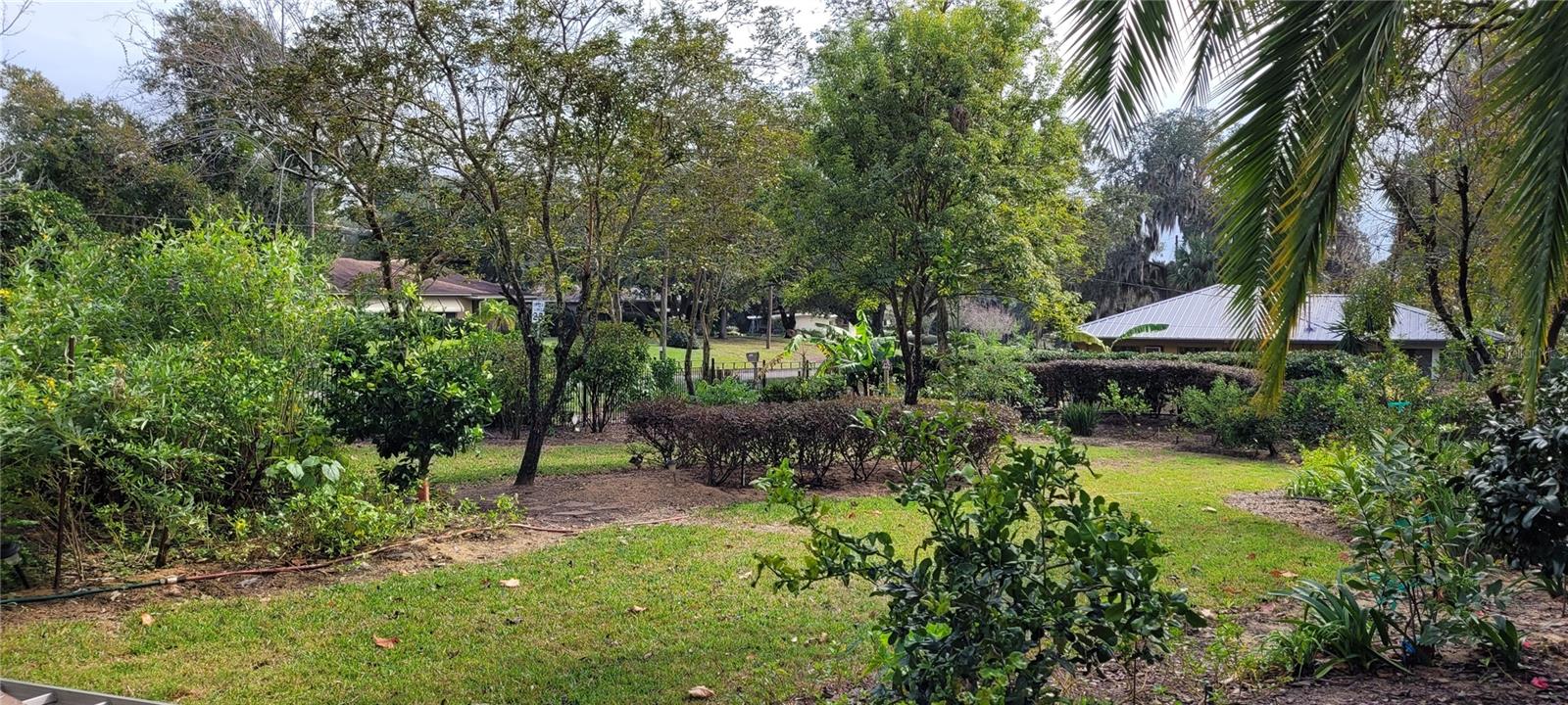 499 E MINNEHAHA AVE, CLERMONT, FL, 34711