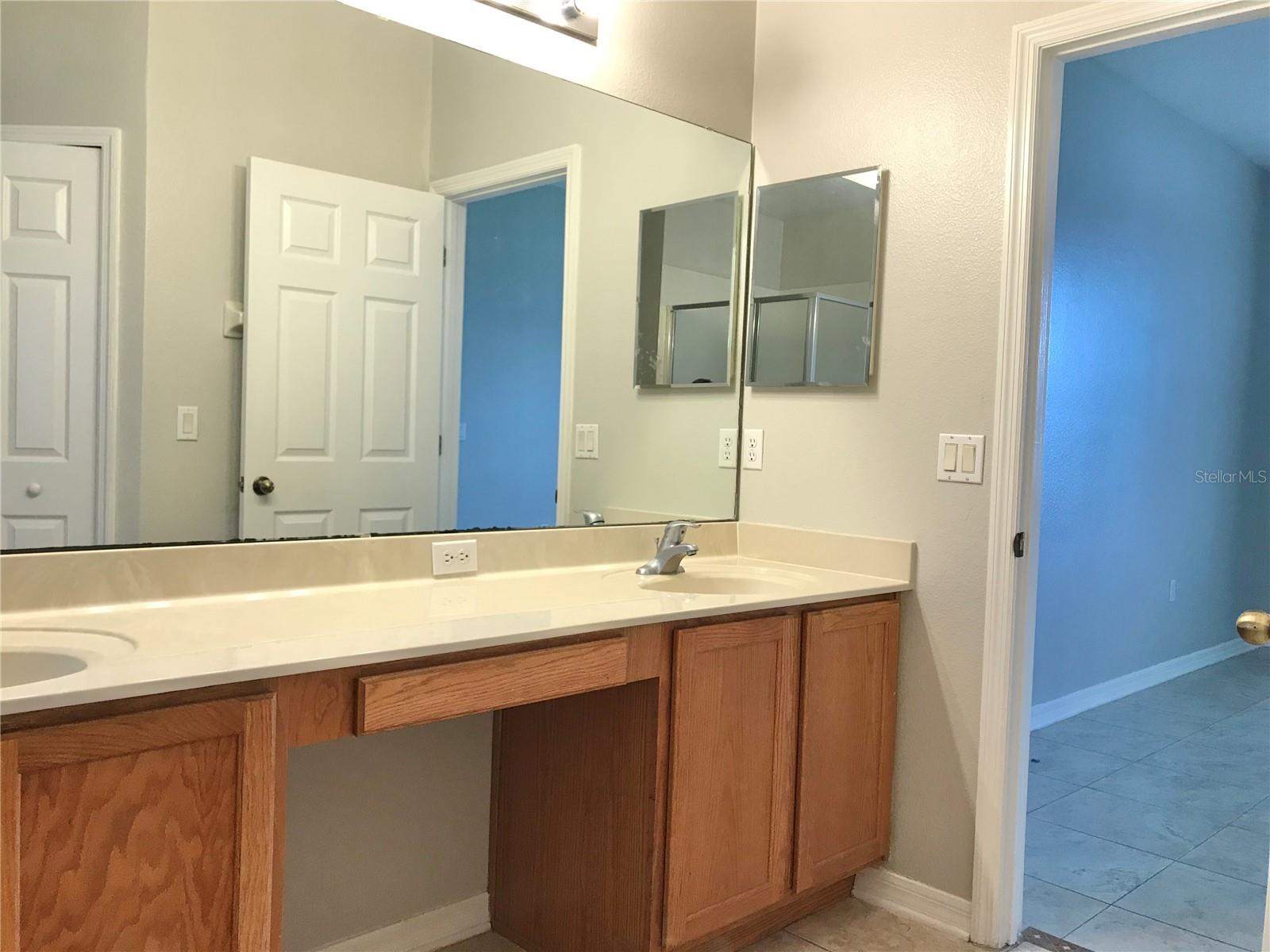 1554 PLANTATION POINTE DR, ORLANDO, FL, 32824