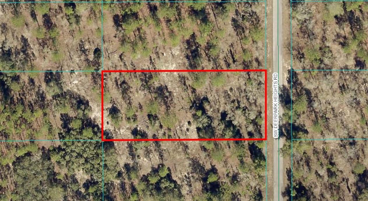 TBD Lot 8 SW DEERPARK HEIGHTS RD, DUNNELLON, FL, 34431