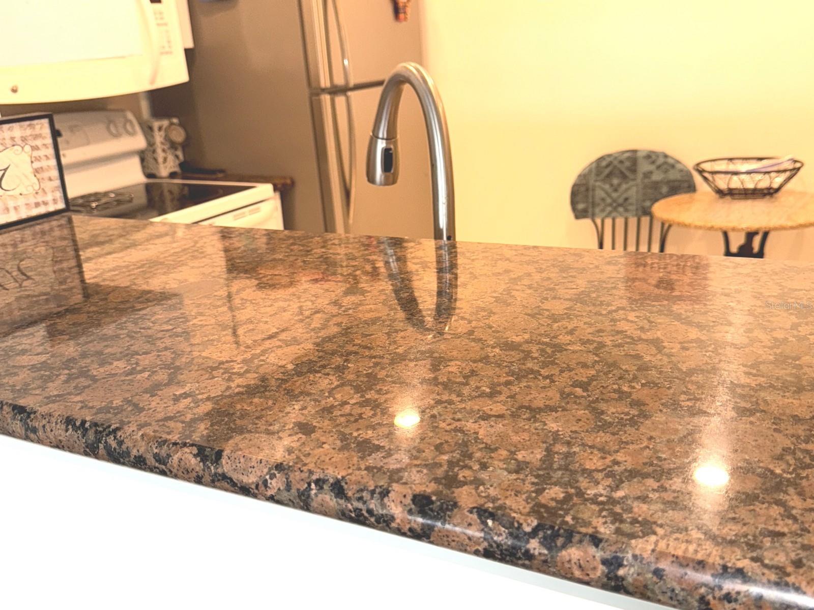 100 BLUFF VIEW DR #401A, BELLEAIR BLUFFS, FL, 33770