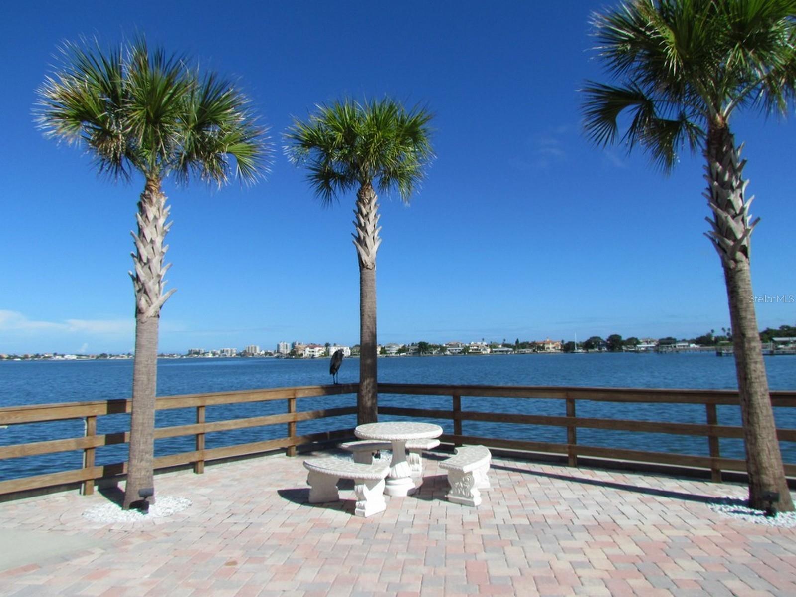 100 BLUFF VIEW DR #401A, BELLEAIR BLUFFS, FL, 33770