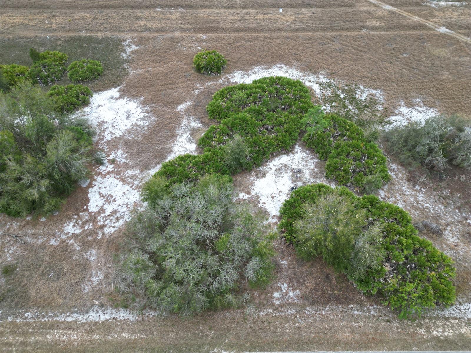2807 W NEWTON RD, AVON PARK, FL, 33825