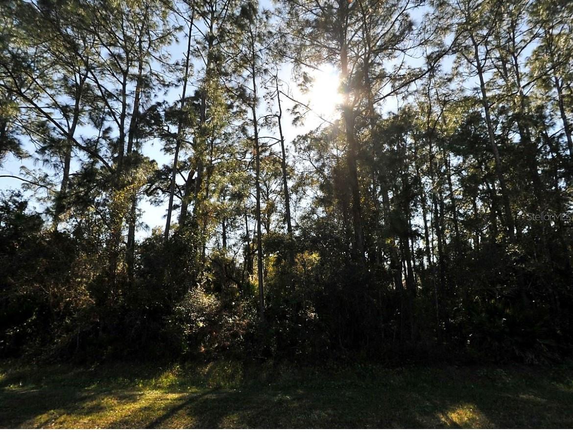 N CRANBERRY BLVD, NORTH PORT, FL, 34286