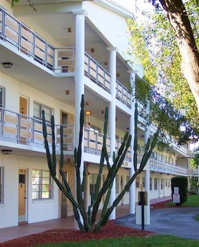 911 WASHINGTON AVE #117, LARGO, FL, 33770