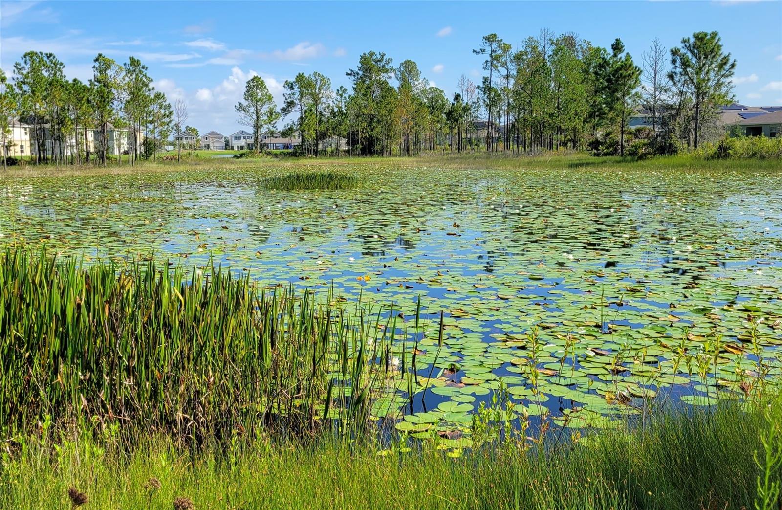 648 DARING DR, DAVENPORT, FL, 33837