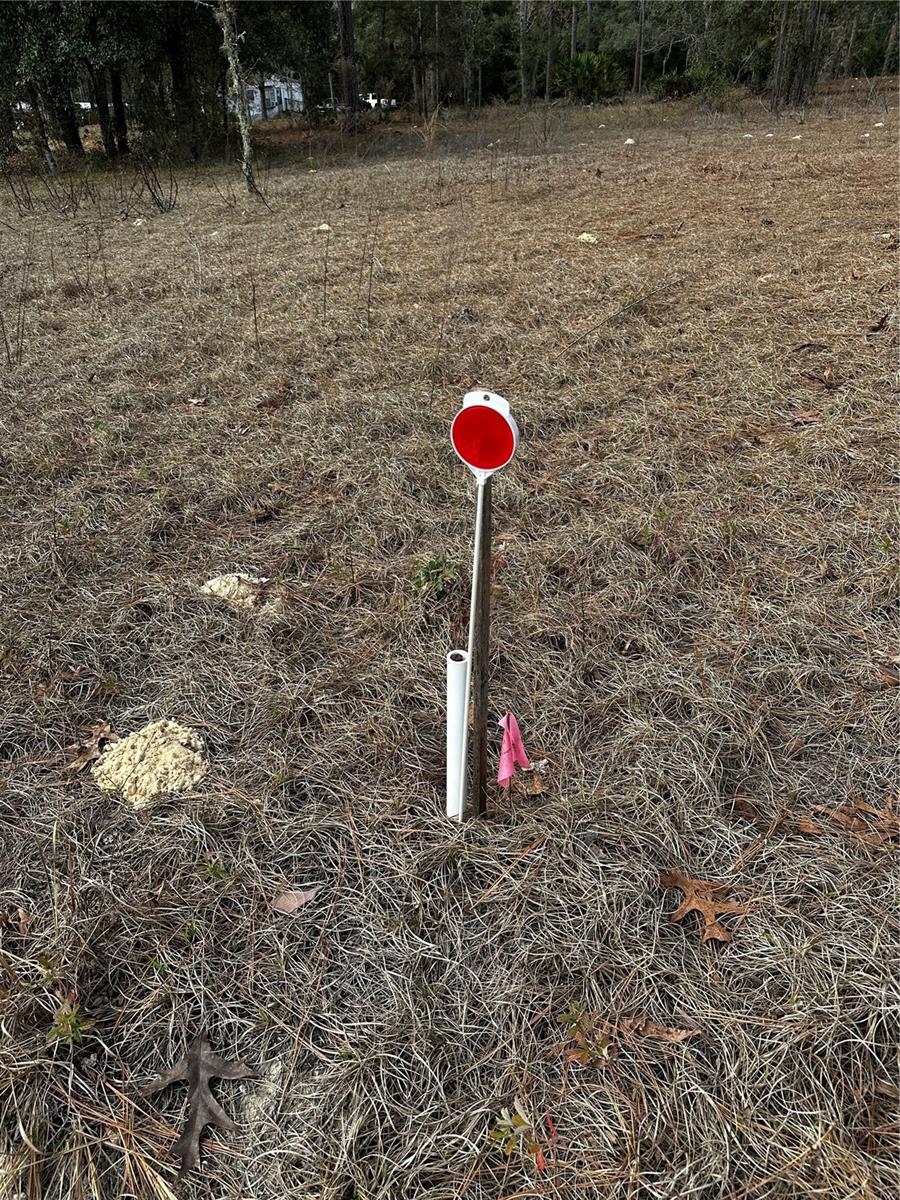 SW 93RD PL, DUNNELLON, FL, 34432