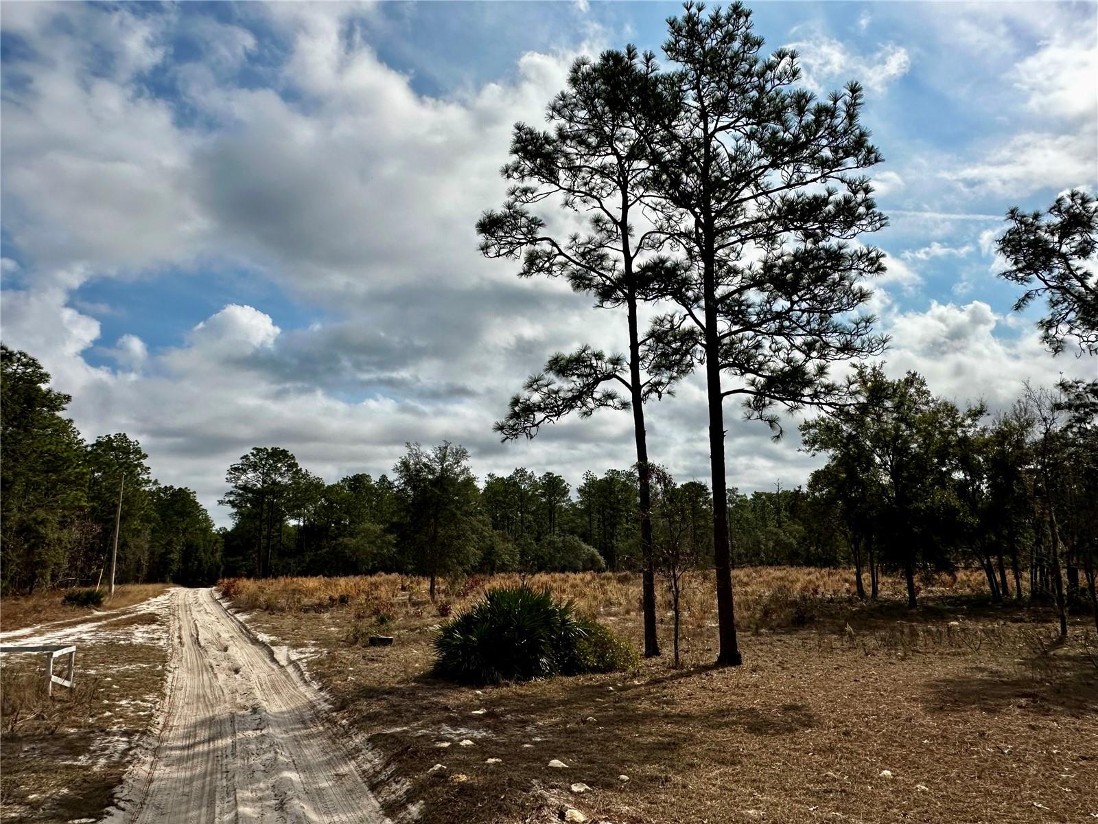 SW 93RD PL, DUNNELLON, FL, 34432