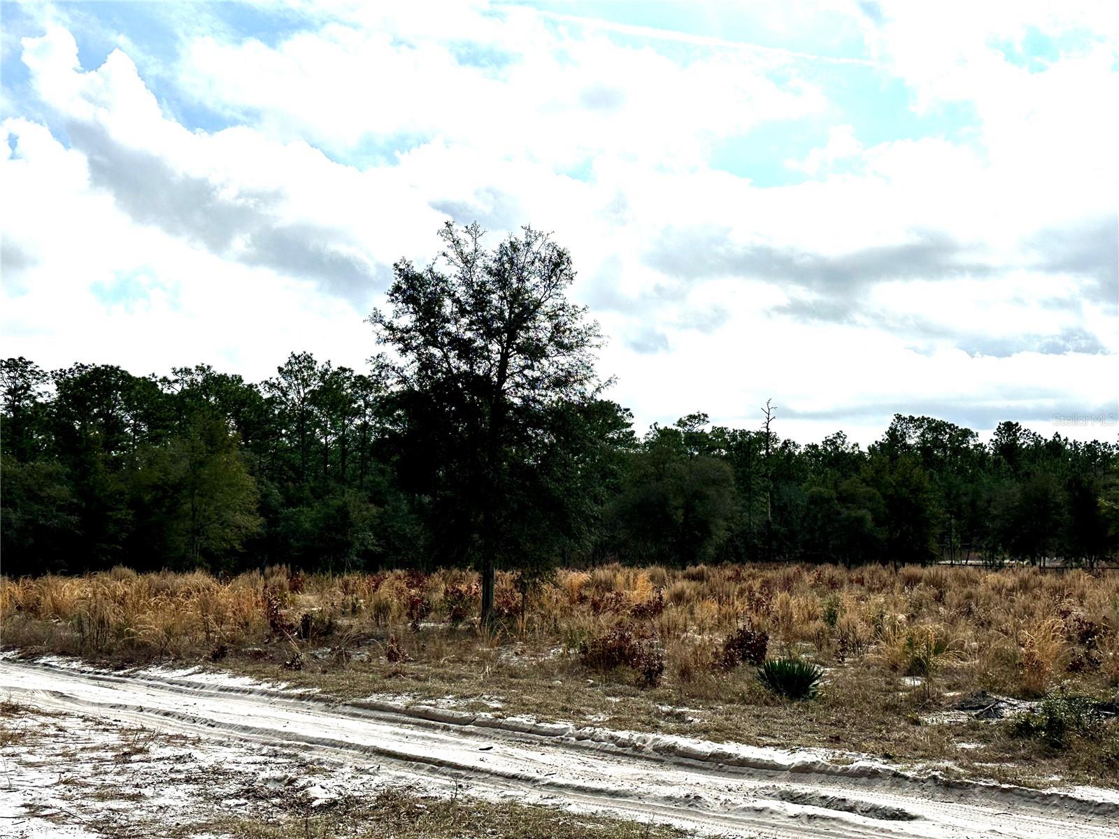 SW 93RD PL, DUNNELLON, FL, 34432