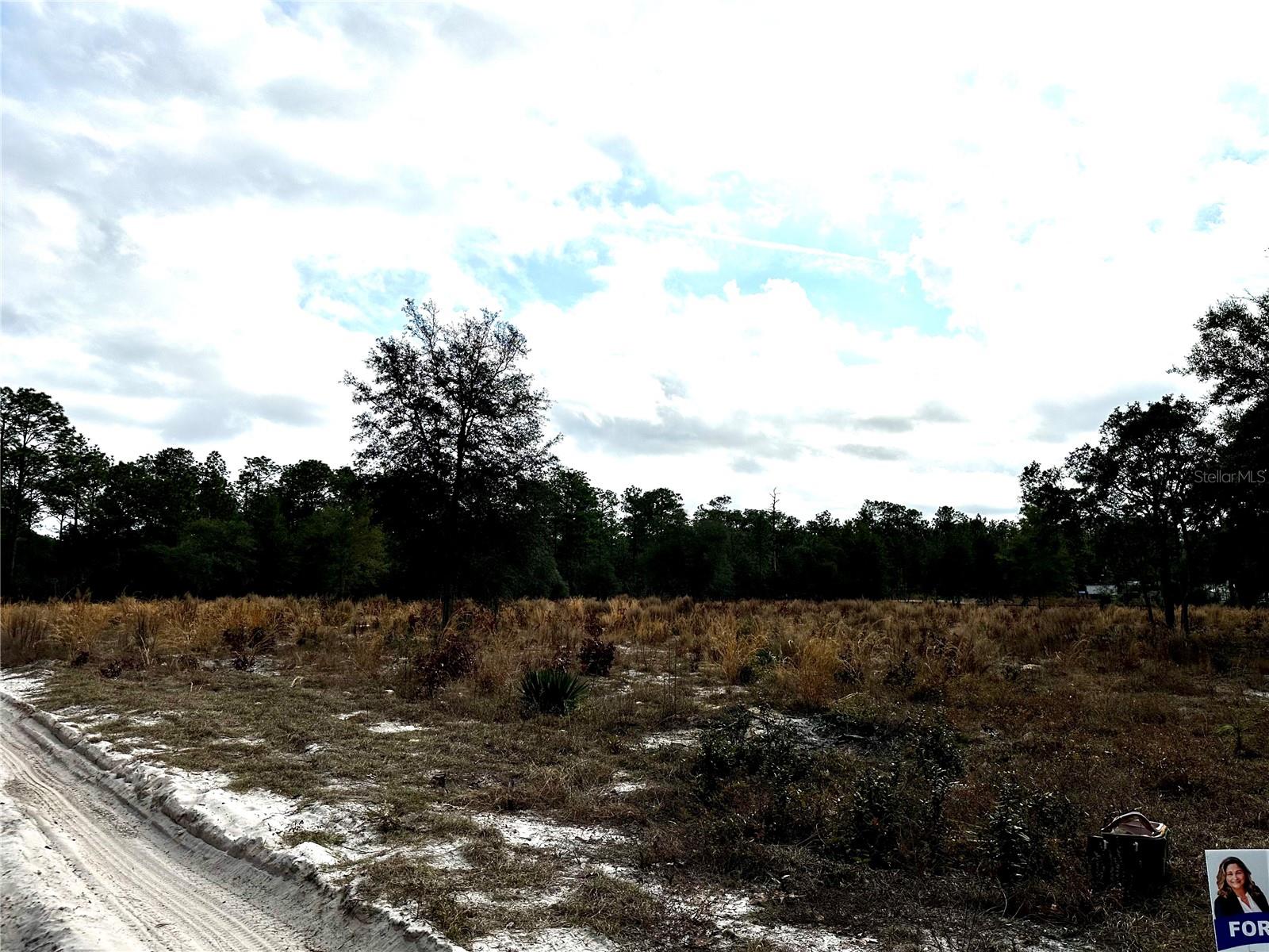 SW 93RD PL, DUNNELLON, FL, 34432