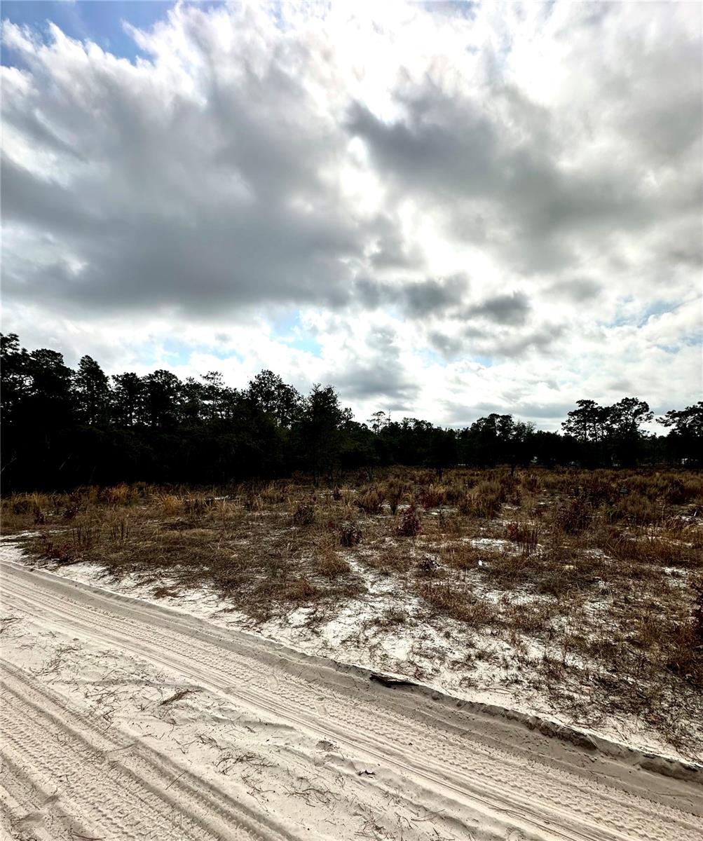SW 93RD PL, DUNNELLON, FL, 34432