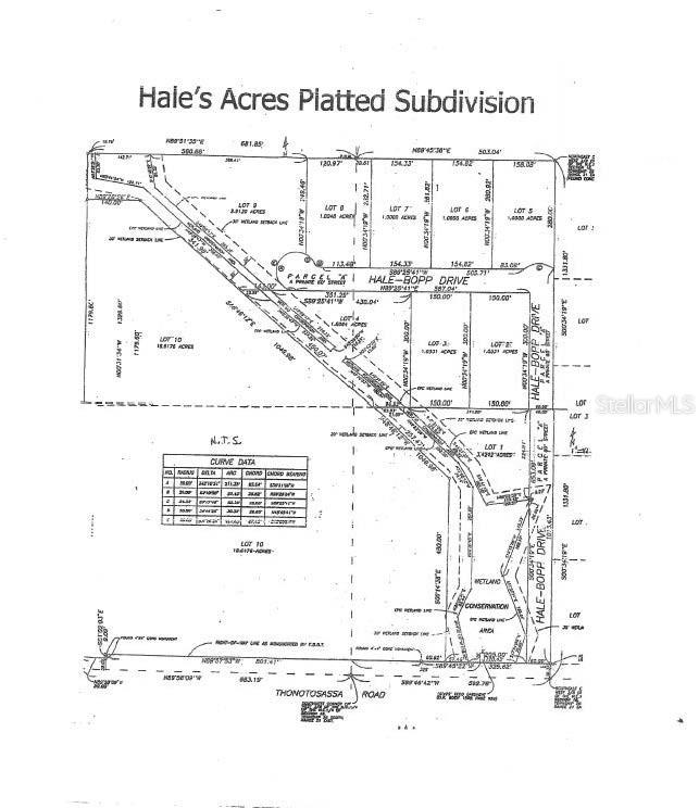THONOTOSASSA ROAD/ HALE BOPP DRIVE, DOVER, FL, 33527
