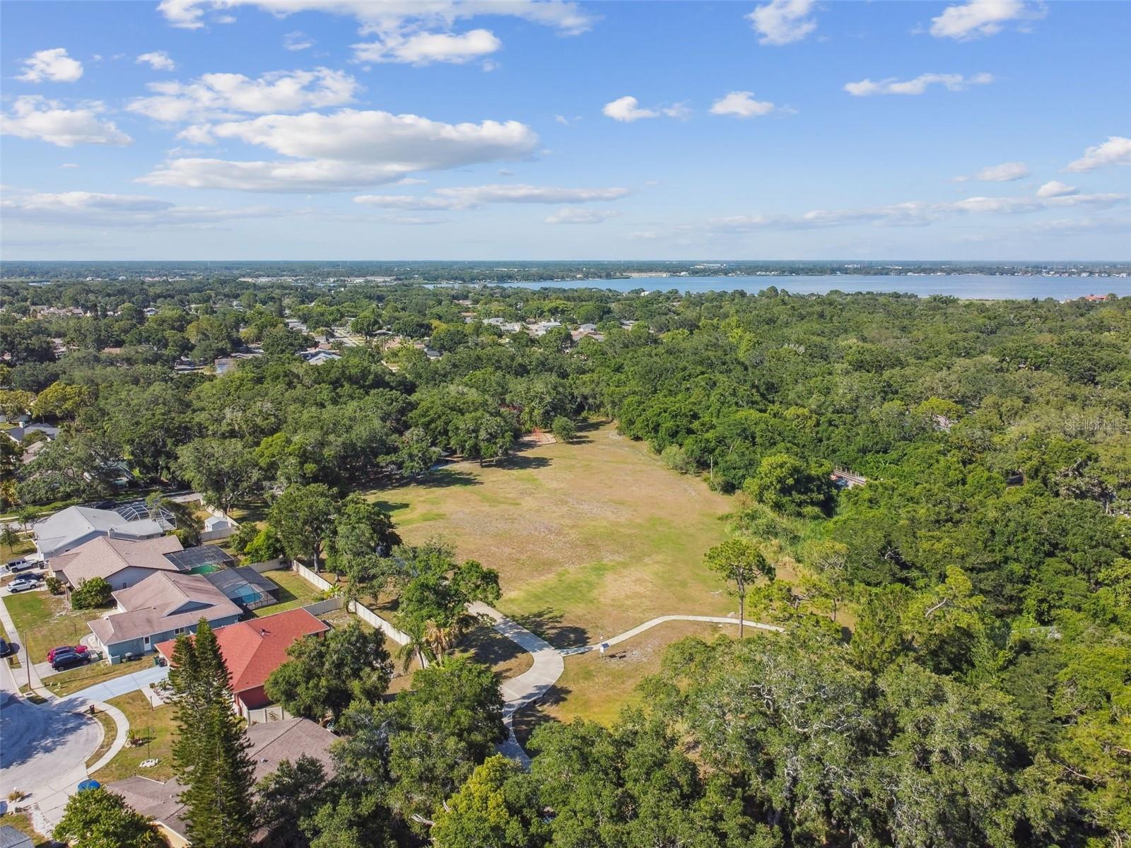 3119 BLUE HERON ST, SAFETY HARBOR, FL, 34695
