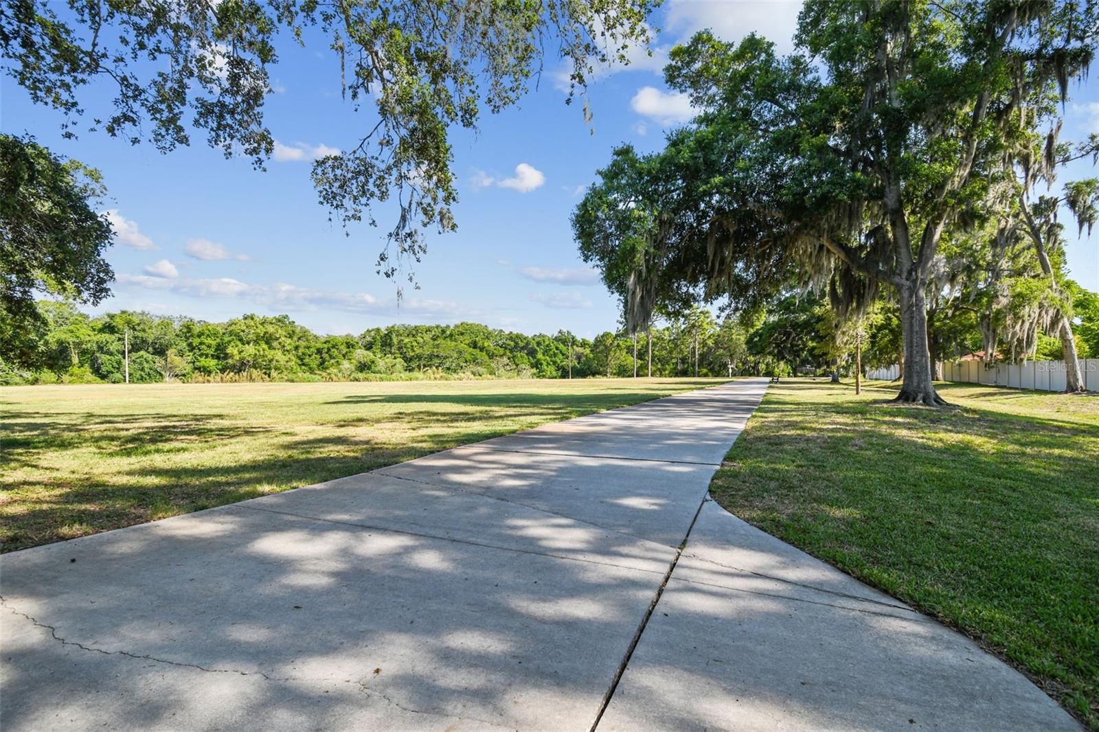 3119 BLUE HERON ST, SAFETY HARBOR, FL, 34695