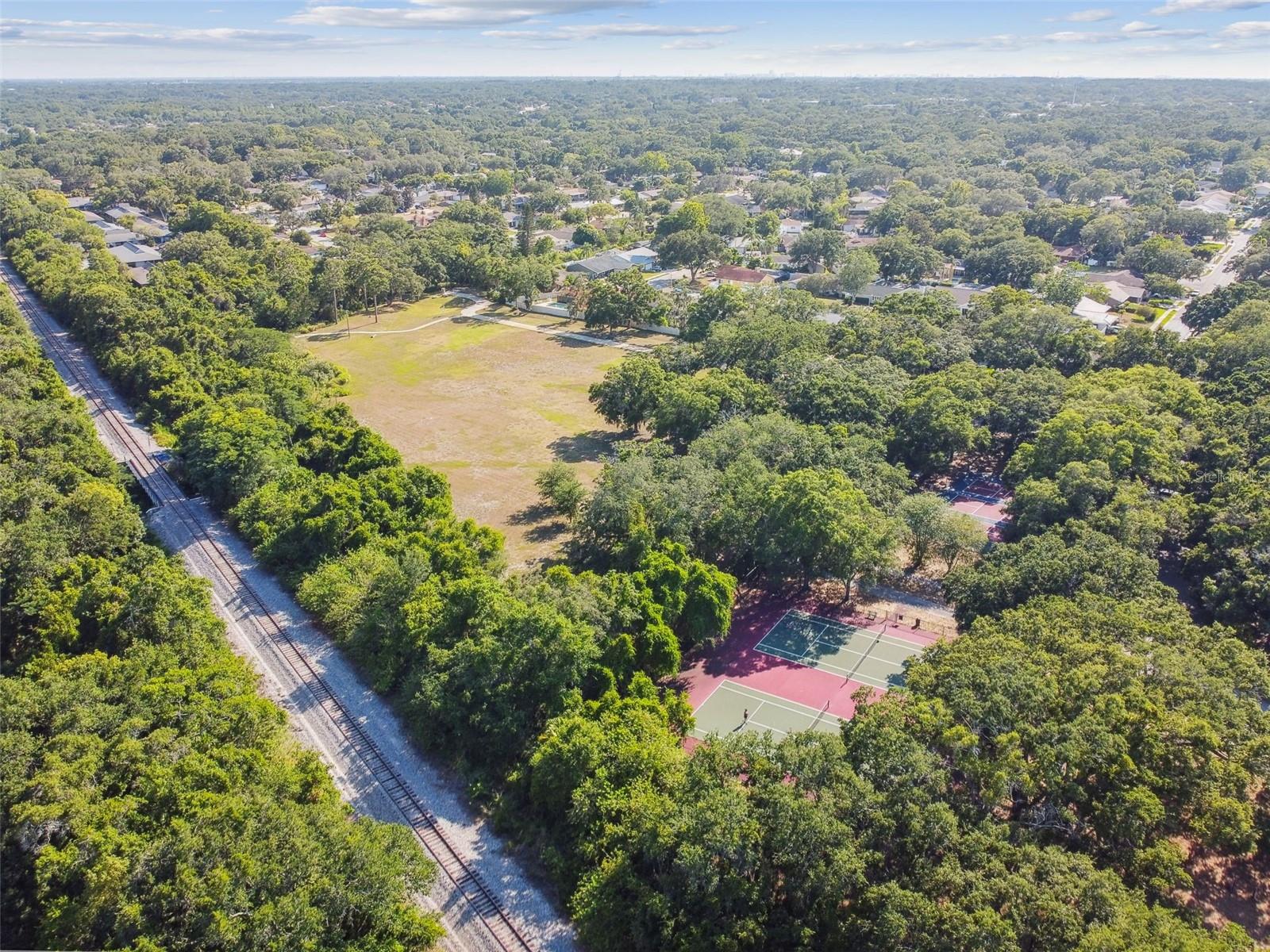 3119 BLUE HERON ST, SAFETY HARBOR, FL, 34695