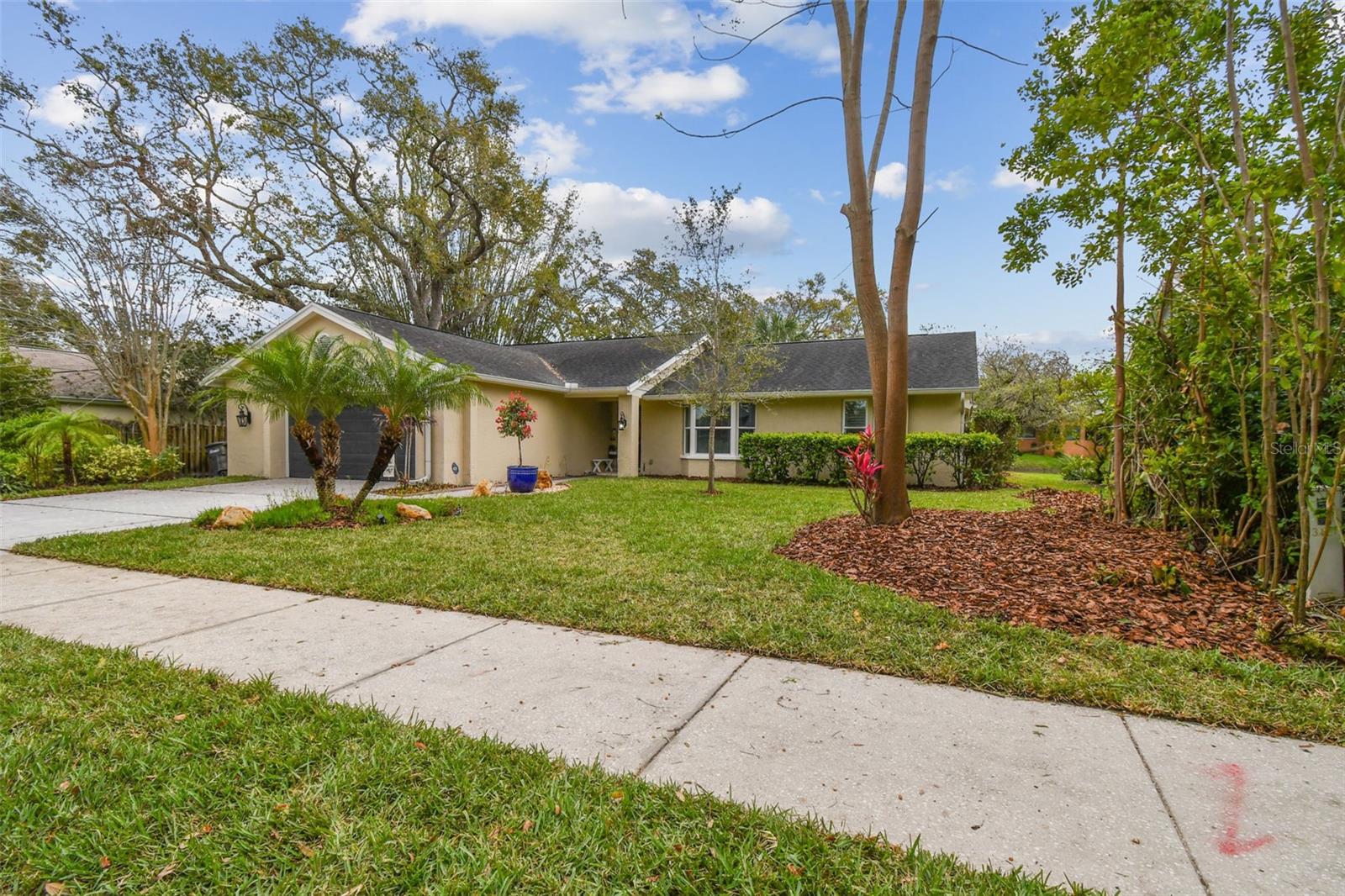 3119 BLUE HERON ST, SAFETY HARBOR, FL, 34695