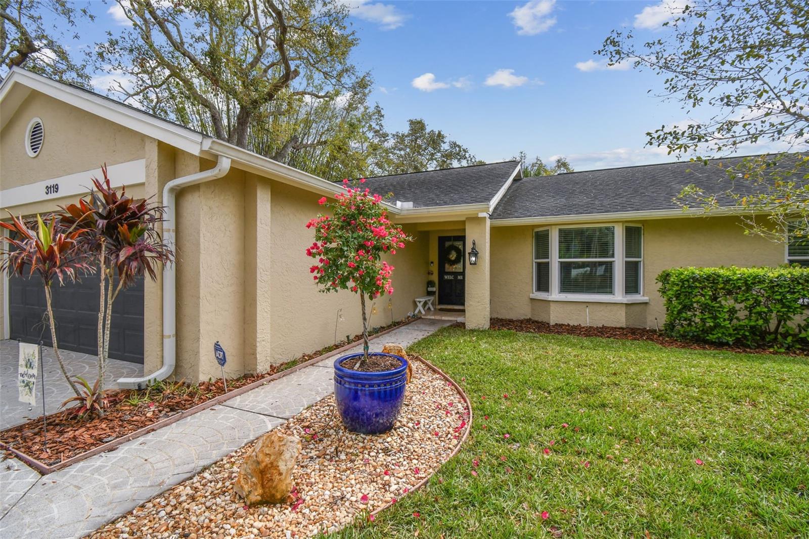 3119 BLUE HERON ST, SAFETY HARBOR, FL, 34695