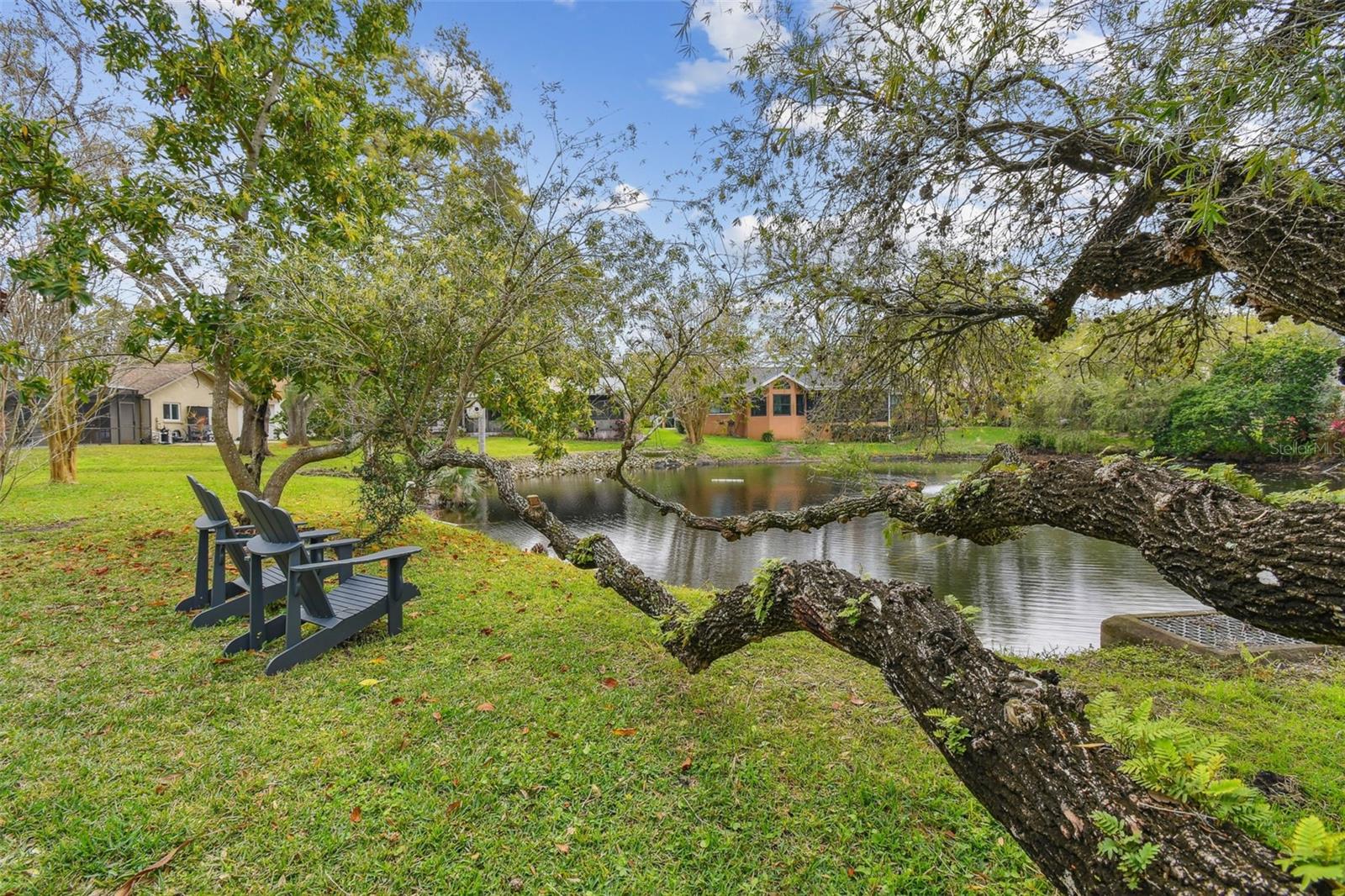 3119 BLUE HERON ST, SAFETY HARBOR, FL, 34695