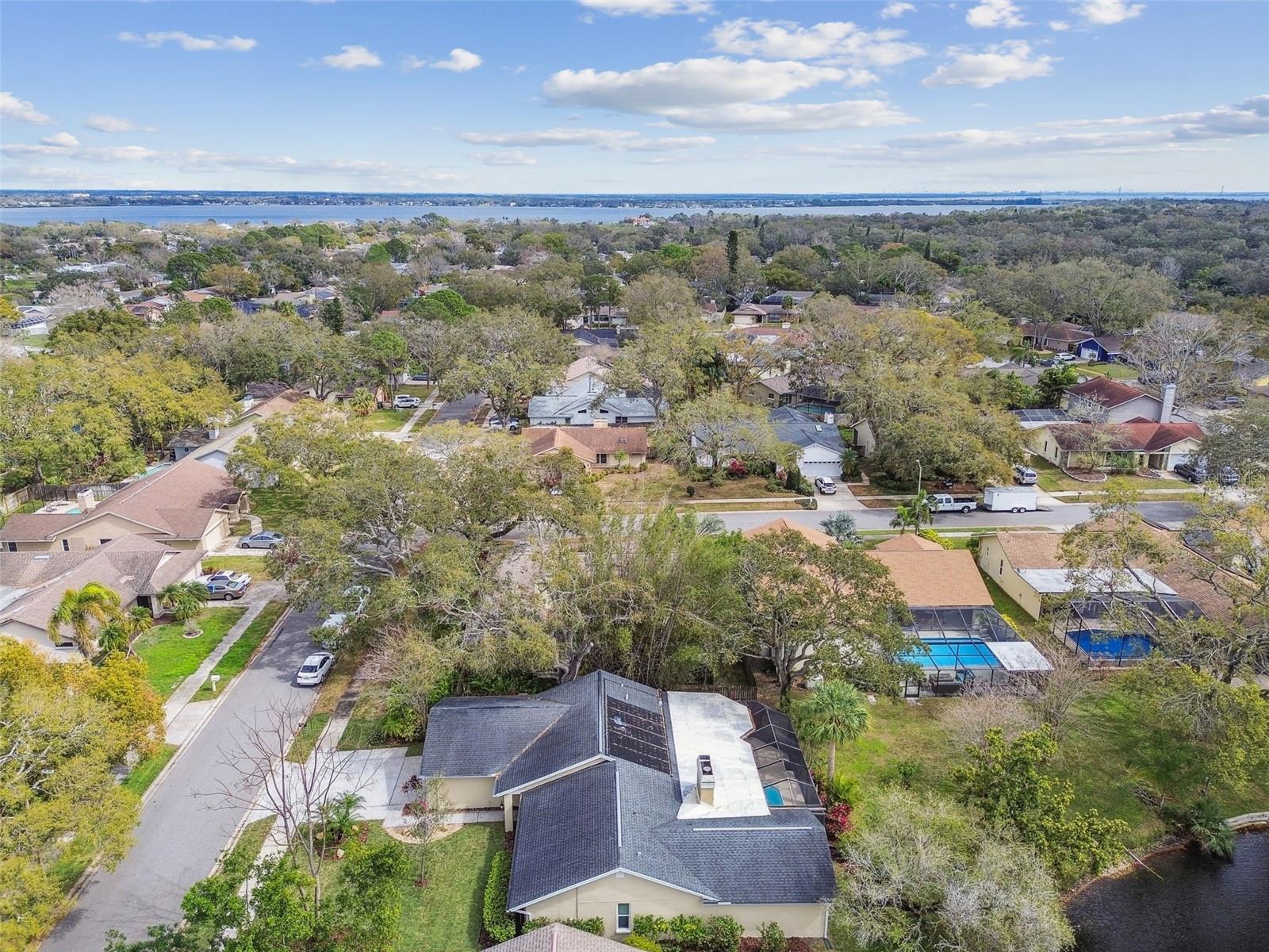 3119 BLUE HERON ST, SAFETY HARBOR, FL, 34695