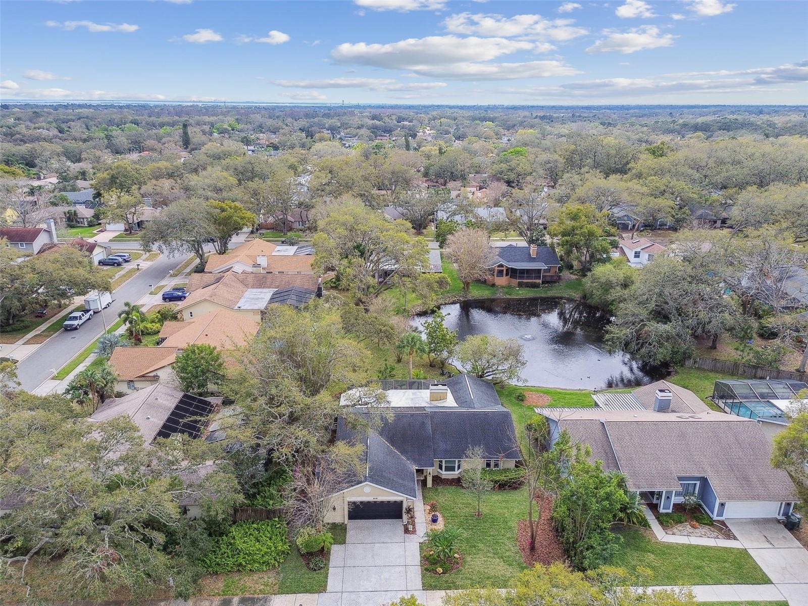 3119 BLUE HERON ST, SAFETY HARBOR, FL, 34695