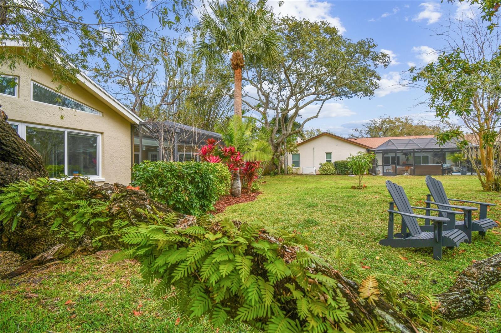 3119 BLUE HERON ST, SAFETY HARBOR, FL, 34695