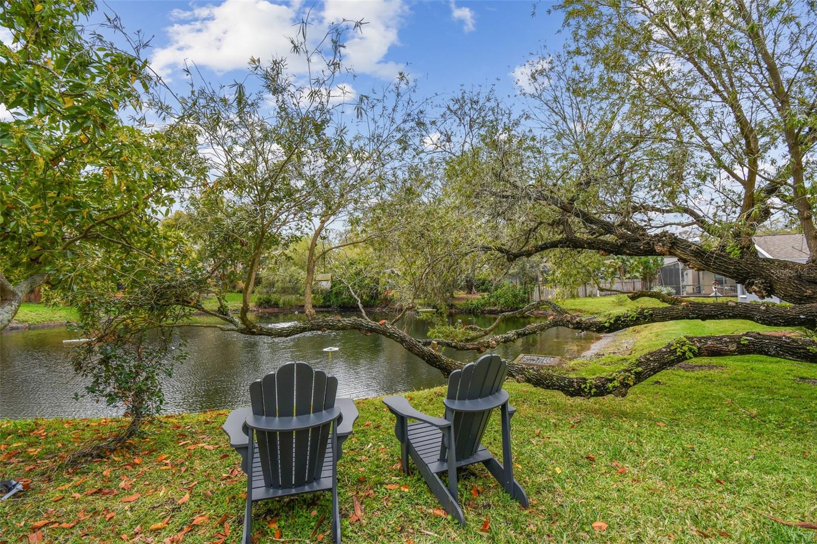 3119 BLUE HERON ST, SAFETY HARBOR, FL, 34695