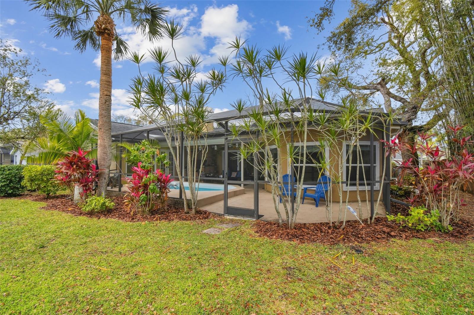 3119 BLUE HERON ST, SAFETY HARBOR, FL, 34695