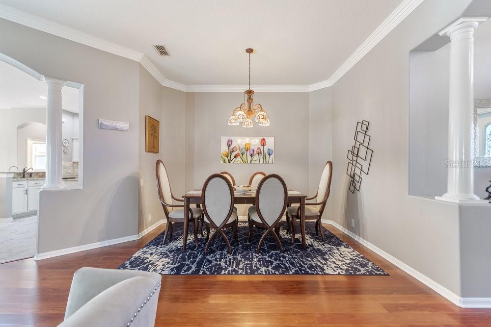 9033 CALLAWAY DR, TRINITY, FL, 34655