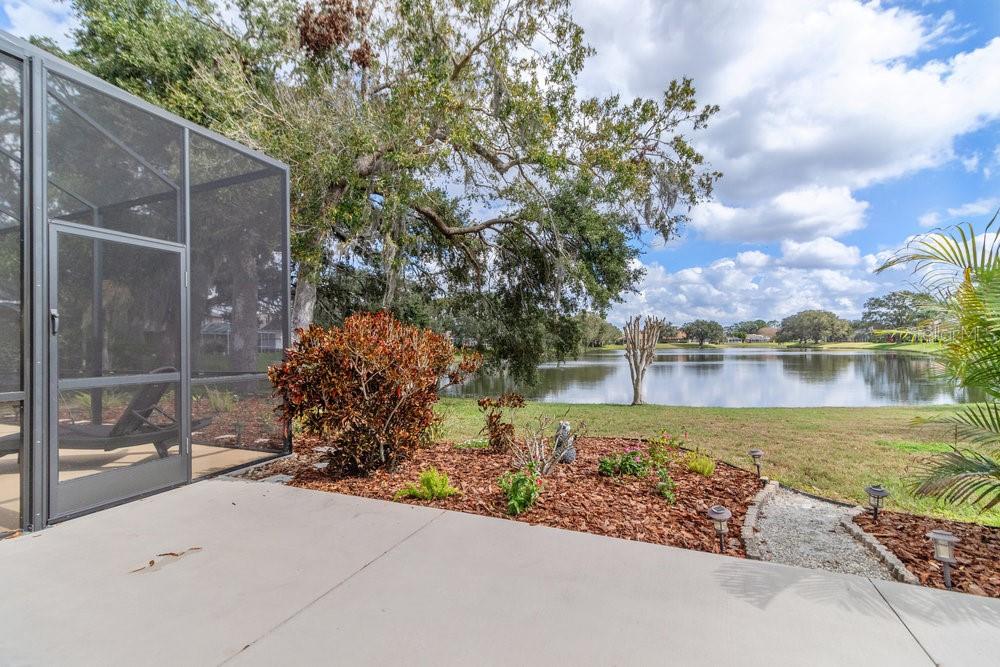 9033 CALLAWAY DR, TRINITY, FL, 34655