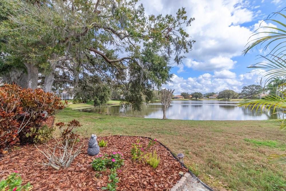 9033 CALLAWAY DR, TRINITY, FL, 34655