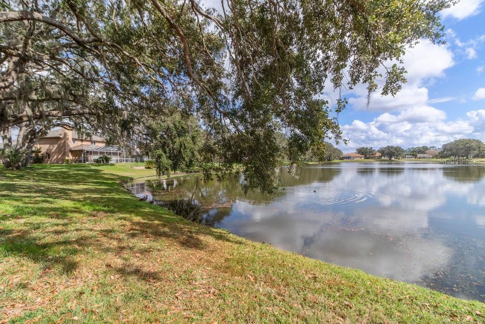 9033 CALLAWAY DR, TRINITY, FL, 34655