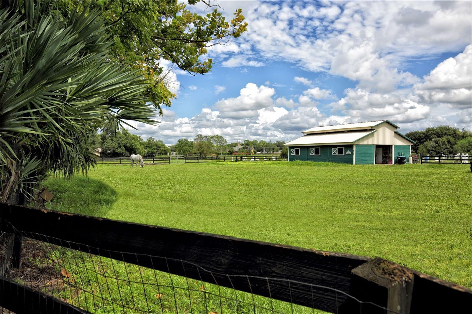 4154 EQUESTRIAN LN, WINDERMERE, FL, 34786