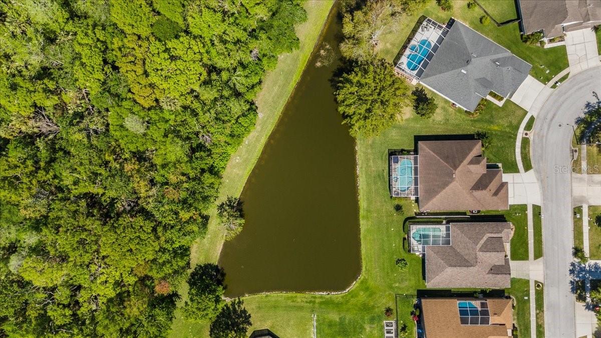 1327 YARDLEY DR, WESLEY CHAPEL, FL, 33544
