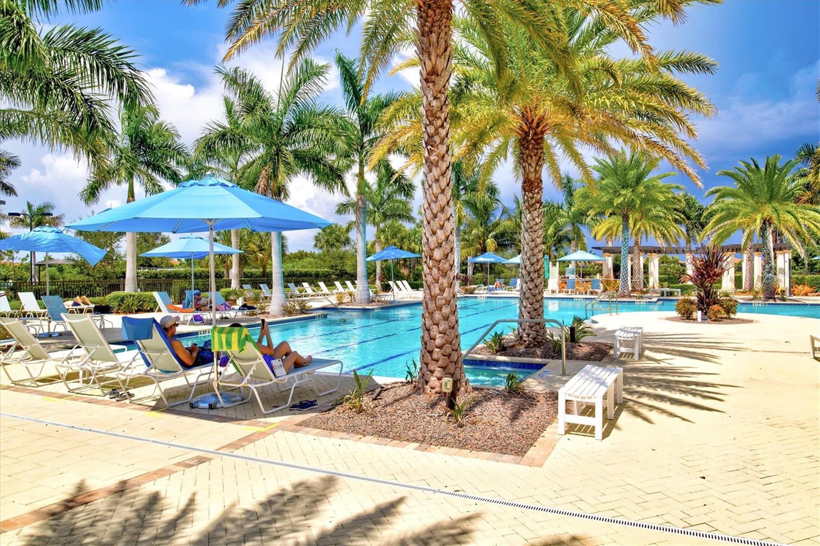 10466 MEDJOOL DR, VENICE, FL, 34293