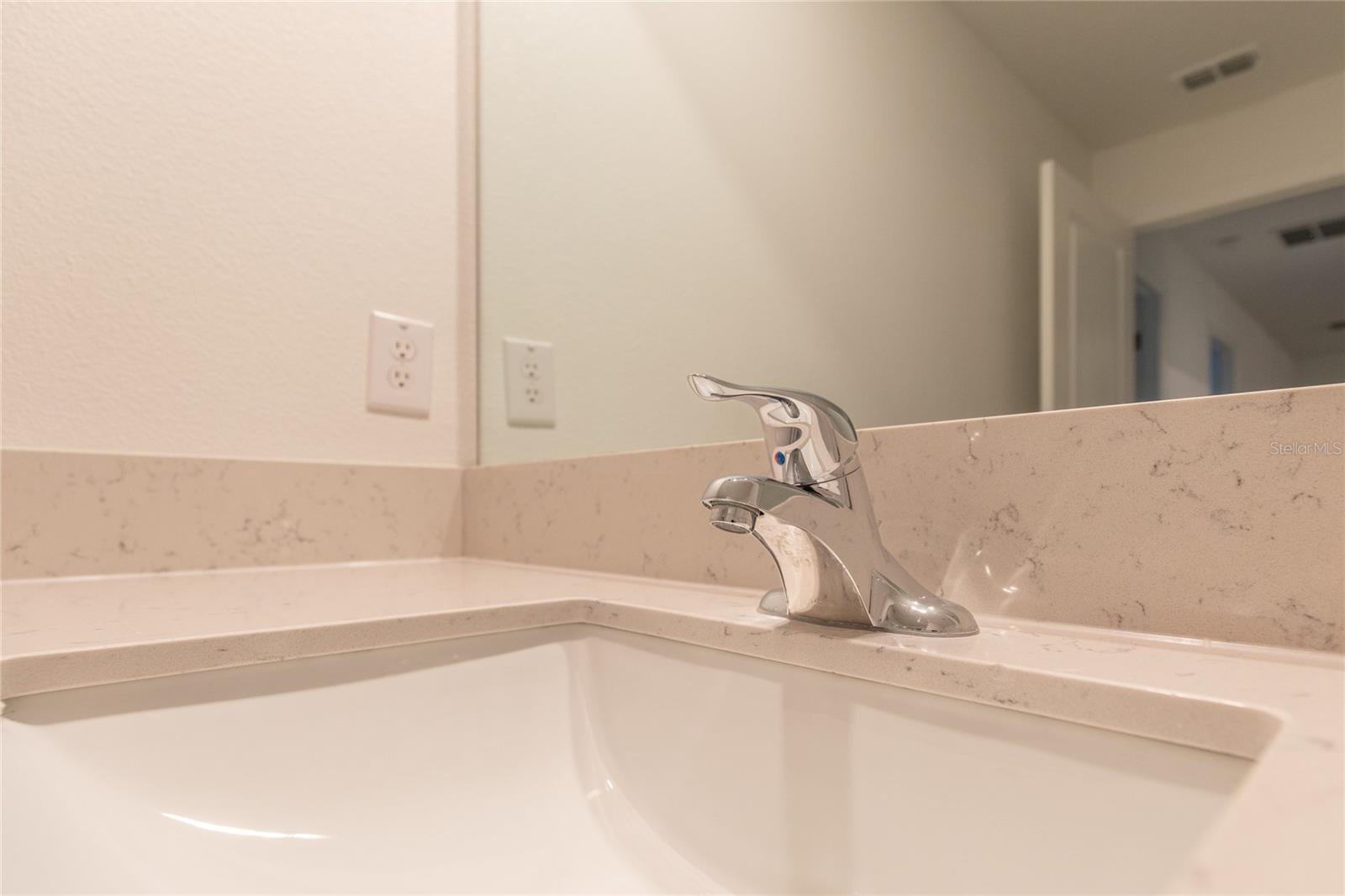 17711 NECTAR FLUME, LAND O LAKES, FL, 34638