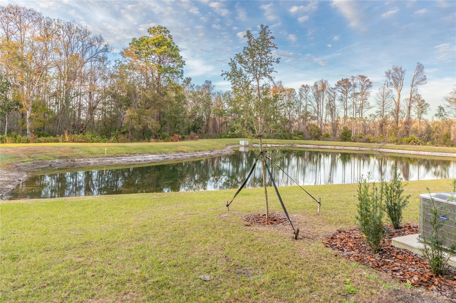 17711 NECTAR FLUME, LAND O LAKES, FL, 34638