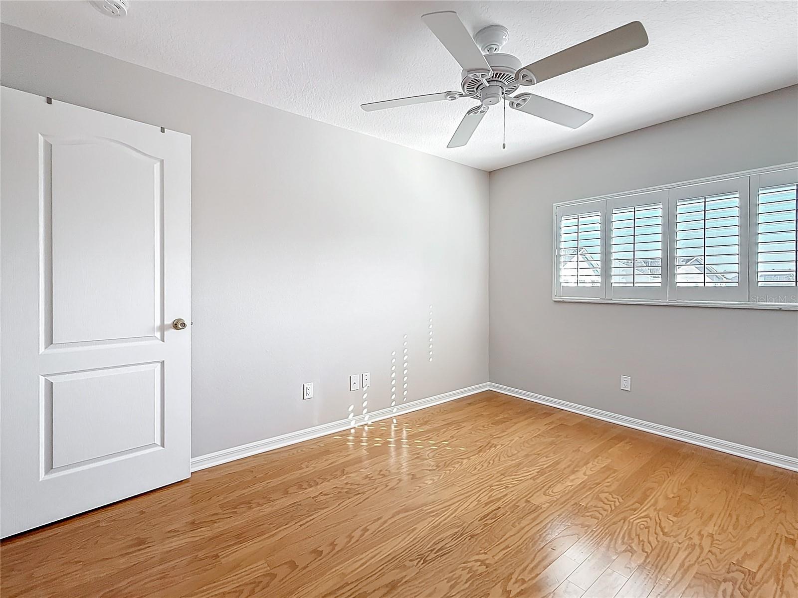 2633 N PAULA DR, DUNEDIN, FL, 34698