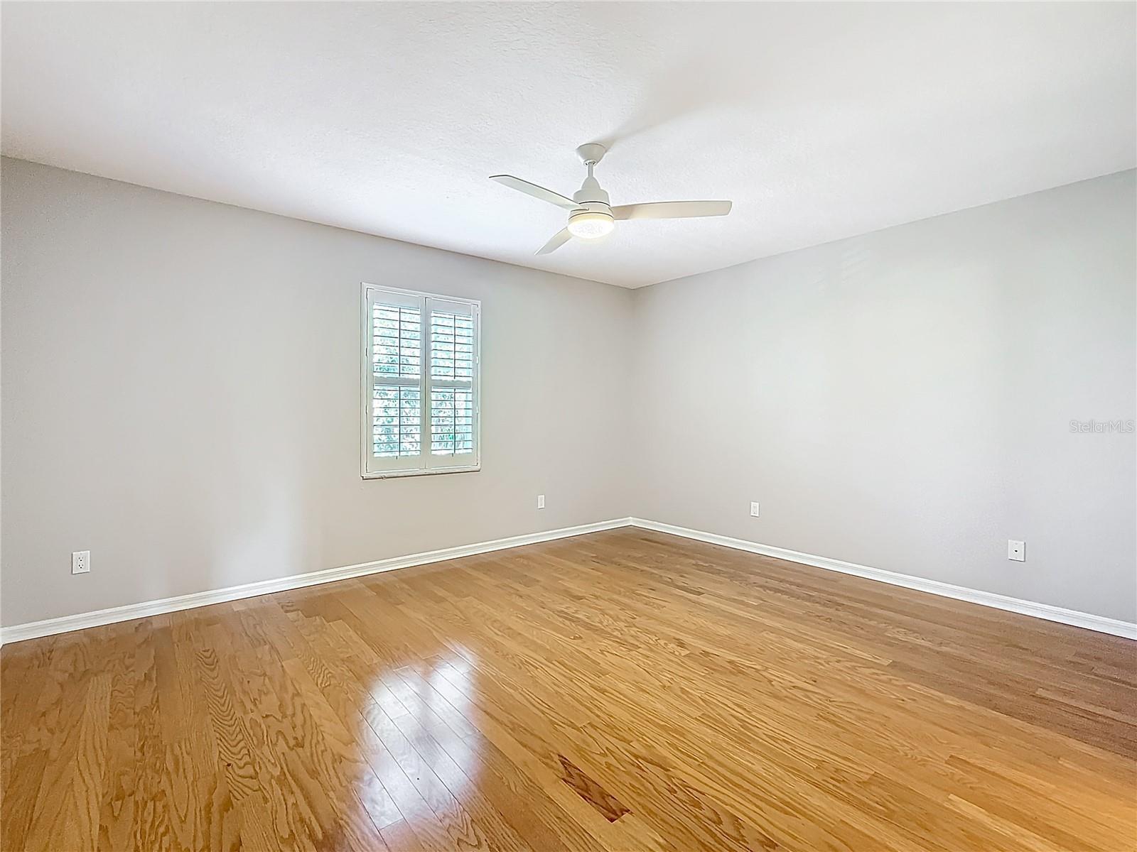 2633 N PAULA DR, DUNEDIN, FL, 34698